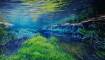 Underwater Garden 2018 Oil on Canvas 120 x 70 cm