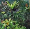 Bromeliad Garden 2016 Oil on Canvas 137 x 137 cm